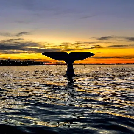 Aux Pieds Des Plages, Du Port, De La Piste Cyclable Et Des Commerces De Proximité, Un Au Dernier étage Avec Vue Panoramique Sur Le Bassin D'arcachon, Entièrement Rénové, Dans Résidence Avec Piscine Arcachon