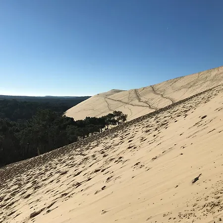 Aux Pieds Des Plages, Du Port, De La Piste Cyclable Et Des Commerces De Proximité, Un Au Dernier étage Avec Vue Panoramique Sur Le Bassin D'arcachon, Entièrement Rénové, Dans Résidence Avec Piscine Appartamento