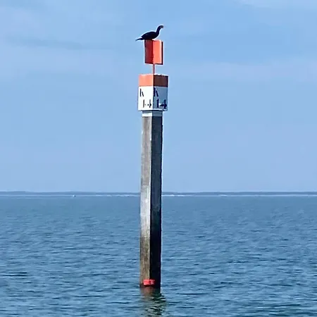 Aux Pieds Des Plages, Du Port, De La Piste Cyclable Et Des Commerces De Proximité, Un Au Dernier étage Avec Vue Panoramique Sur Le Bassin D'arcachon, Entièrement Rénové, Dans Résidence Avec Piscine