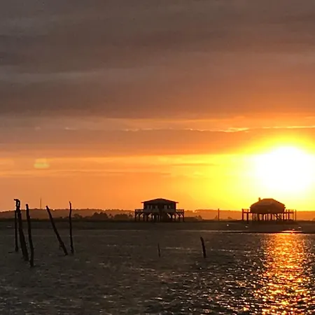 Aux Pieds Des Plages, Du Port, De La Piste Cyclable Et Des Commerces De Proximité, Un Au Dernier étage Avec Vue Panoramique Sur Le Bassin D'arcachon, Entièrement Rénové, Dans Résidence Avec Piscine *