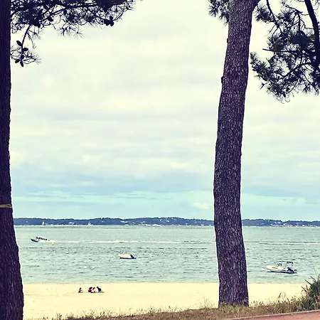 Aux Pieds Des Plages, Du Port, De La Piste Cyclable Et Des Commerces De Proximité, Un Au Dernier étage Avec Vue Panoramique Sur Le Bassin D'arcachon, Entièrement Rénové, Dans Résidence Avec Piscine *