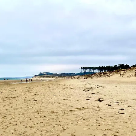 Aux Pieds Des Plages, Du Port, De La Piste Cyclable Et Des Commerces De Proximité, Un Au Dernier étage Avec Vue Panoramique Sur Le Bassin D'arcachon, Entièrement Rénové, Dans Résidence Avec Piscine Appartamento *