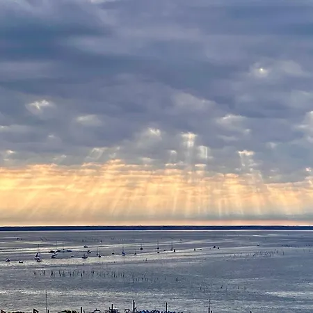Aux Pieds Des Plages, Du Port, De La Piste Cyclable Et Des Commerces De Proximité, Un Au Dernier étage Avec Vue Panoramique Sur Le Bassin D'arcachon, Entièrement Rénové, Dans Résidence Avec Piscine Appartamento